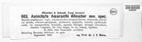 Ascochyta amaranthi image